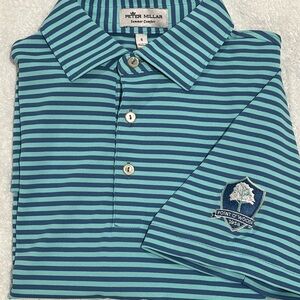 Peter Millar Blue and Green Striped Polo Shirt